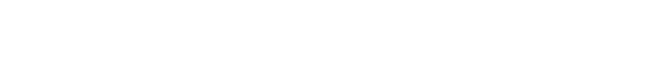 lai solutions